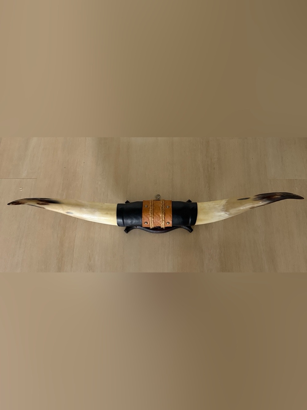 Authentic Steer Horn and Leather Wall Mount in Natural Ivory and Brown 34”
